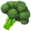icon-1-5